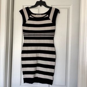 Pink Rose Stripped Midi Dress